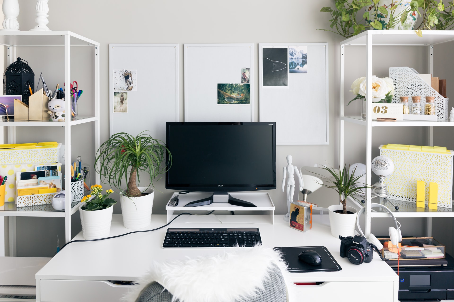 The Best Computer Monitors for Your Home Office