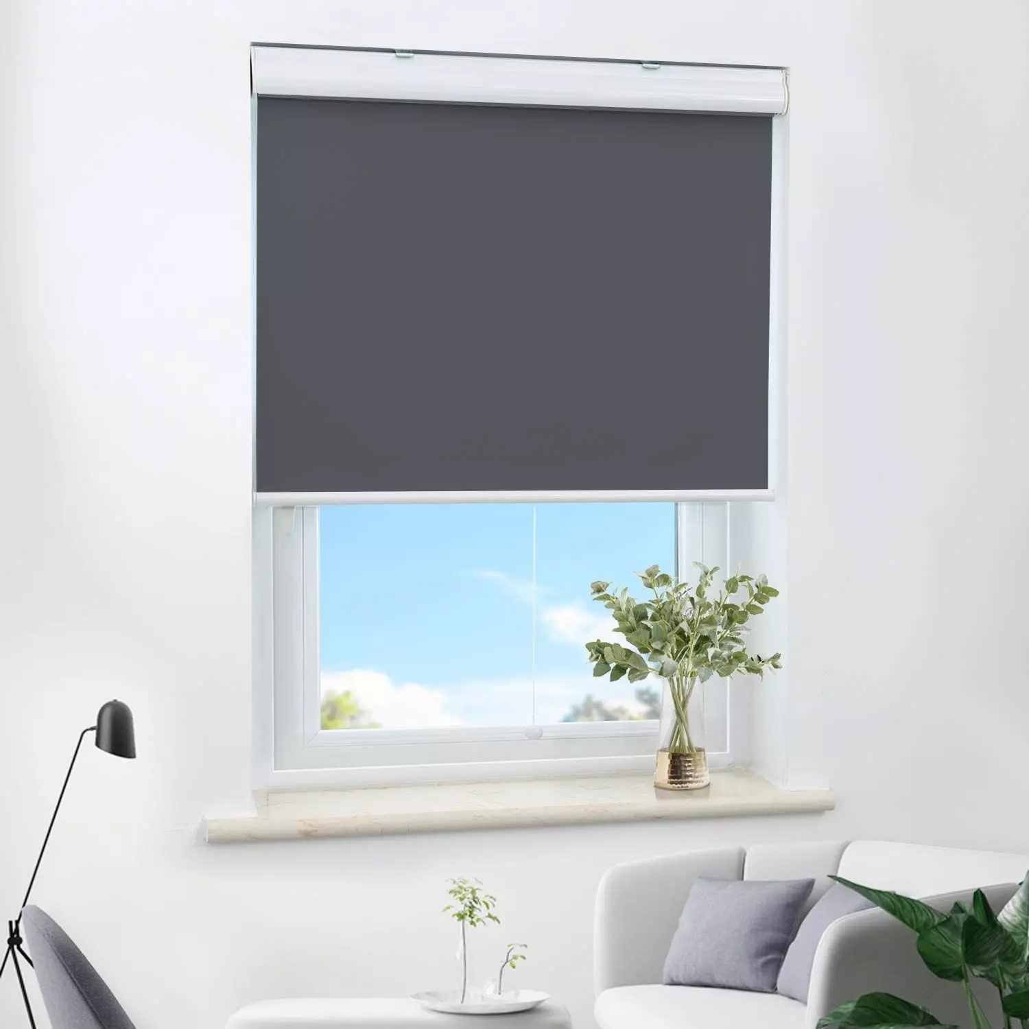 HOMEDEMO Roller Shades Cordless Blinds