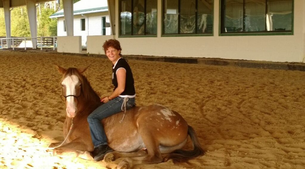 Pam Wiselogel - natural horsemanship training