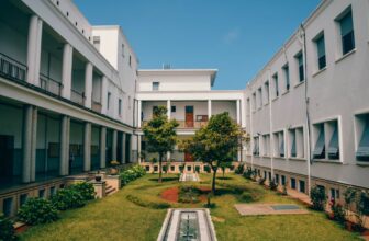 Trees on college campus