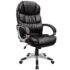 Cauldwell Task Chair