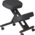 DRAGONN Ergonomic Kneeling Chair with Back Support