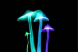 The 10 Best Mushroom Lamps Review