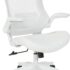 Layman High Back Ergonomic Mesh Executive Chair