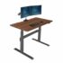Flexispot Electric Height Adjustable Desk