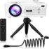 PVO Mini Projector