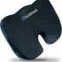 Qutool Seat Cushion and Lumbar Support Pillow