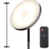Daylight Company LLC Brushed Steel Floor Lamp